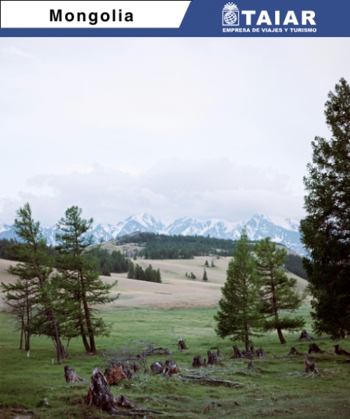 MONGOLIA - SELECCI�N