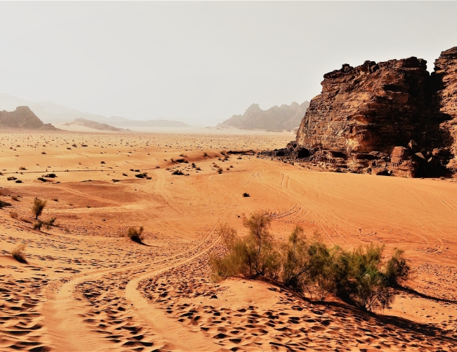 RAICES DE JORDANIA CON MAR MUERTO