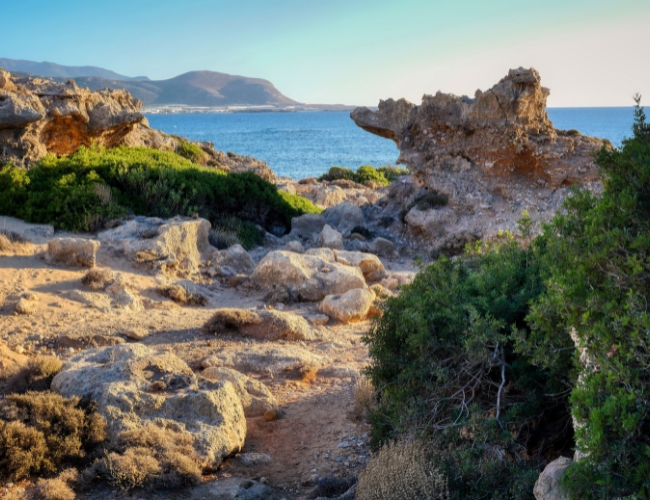 PAQUETES COMBINADOS CON CRUCERO GRECIA CLSICA