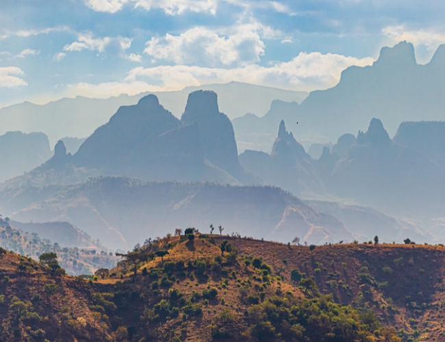 ESENCIA DE ETIOPA CON MONTAAS SIMIEN