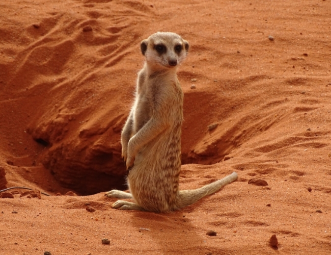 SCENIC NAMIBIA