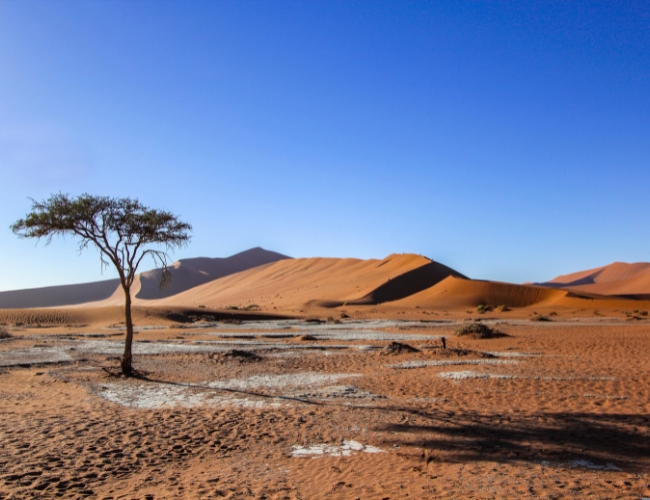 EL SUR DE NAMIBIA