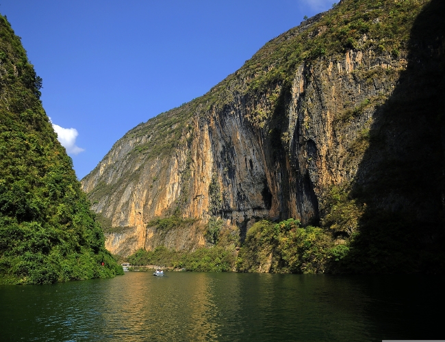 CRUCERO POR EL RIO YANGTZE CON OSO PANDA
