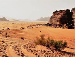 RAICES DE JORDANIA CON MAR MUERTO