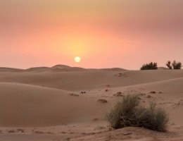 DUBAI ADVENTURE