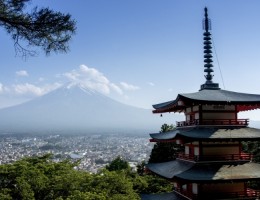 OKINI JAPN PLUS (COD: JT)