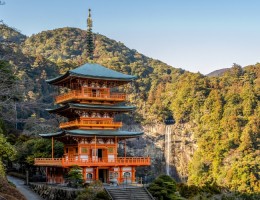 JAPN ESPIRITUAL (COD: JT)