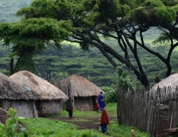 SAFARI CIRCUMNAVEGATION