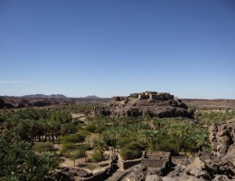 DOS PASES DEL ORIENTE MEDIO ARABIA Y JORDANIA