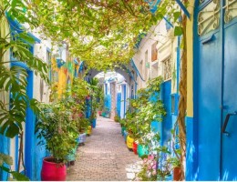 GRAN TOUR CLSICO DESDE COSTA DEL SOL